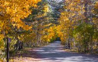 Around June Lake Loop