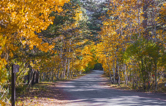Around June Lake Loop