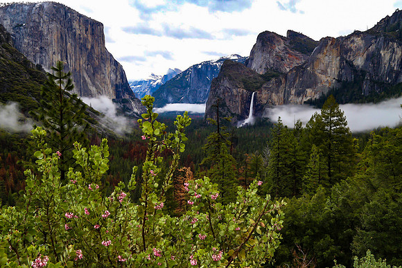 Yosemite Tunnel View in Spring