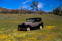 Shell Creek Road 1