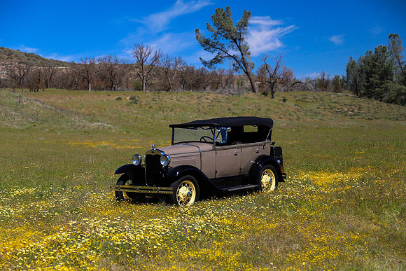 Shell Creek Road 1