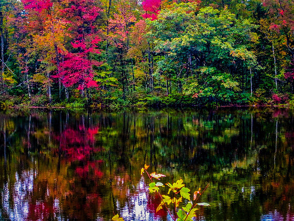 New Hampshire Fall Colors
