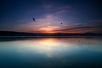 Sunrise at Tomales Bay