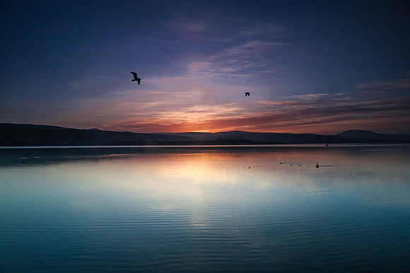 Sunrise at Tomales Bay