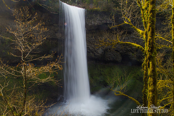 Silver Falls State Park
